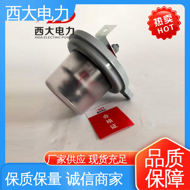 JCQ-10/800型 避雷器在线监测器 体积小 重量轻 西大电力