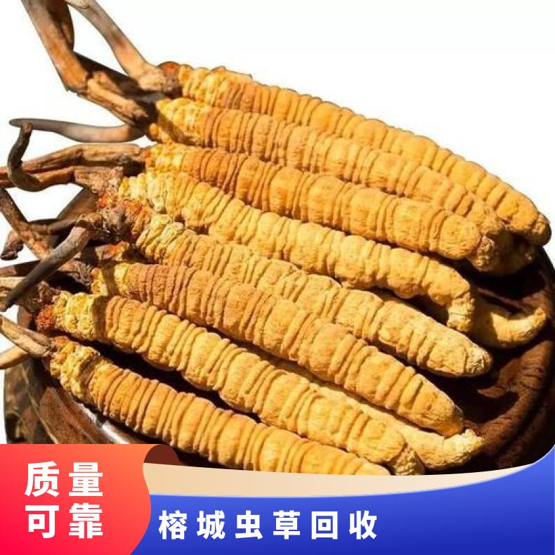 揭阳虫草回收商家 榕城上门回收虫草散装 礼盒装 茅台酒 洋酒