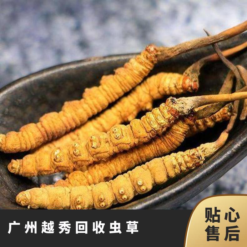 广州越秀回收虫草商行 高价上门回收散装礼盒装虫草 茅台洋酒