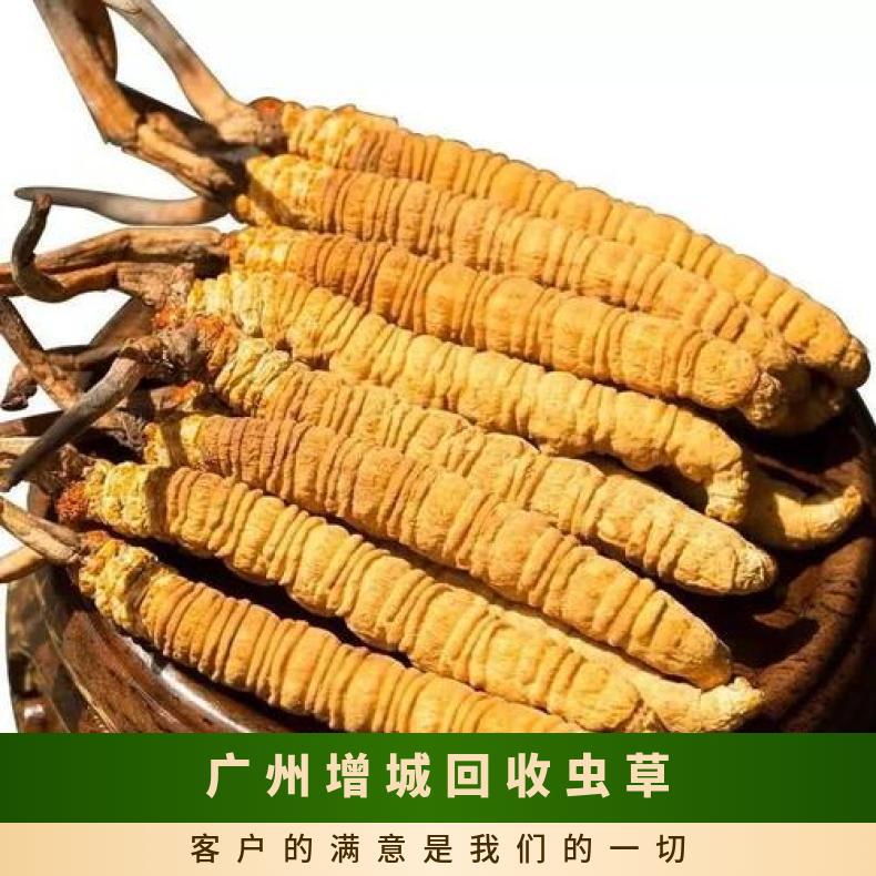 广州增城回收虫草商行 高价上门收购礼盒装虫草 散装虫草 茅台洋酒