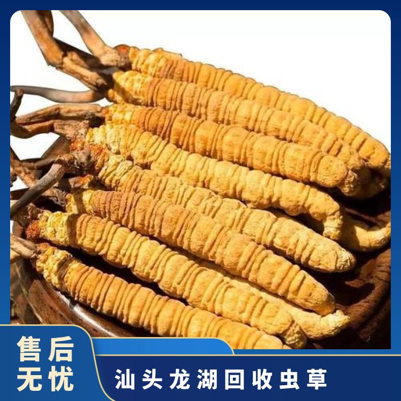 汕头龙湖回收虫草礼盒装 散装 断条 插签 上门回收虫草 茅台 洋酒 红酒