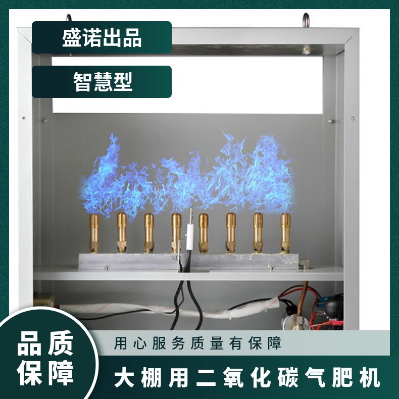 冬季蔬菜大棚用二氧化碳气肥机 W8B智能调控型 天然气液化气转化
