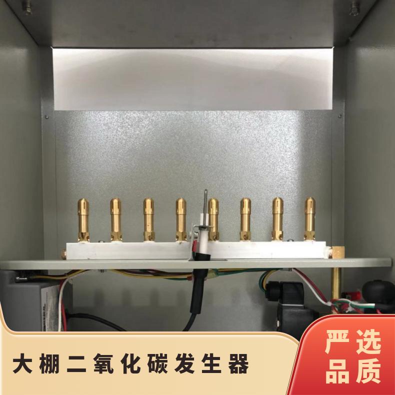 蔬菜大棚二氧化碳CO2发生器 农用气肥机 可智能控制 天然气 液化气