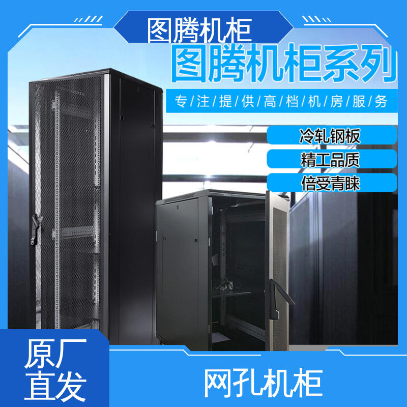 机柜定制标准机柜 G36642 黑色 监控 全国送货到家 图腾TOTEN