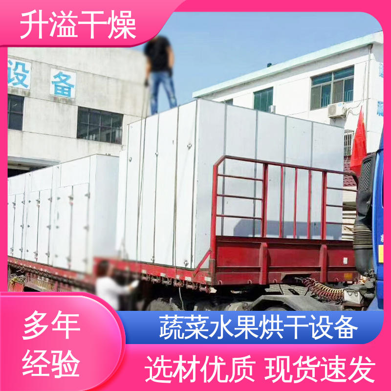 外形美观安装方便 材质精选坚实耐用 瓜果干热风循环烘箱 升溢干燥