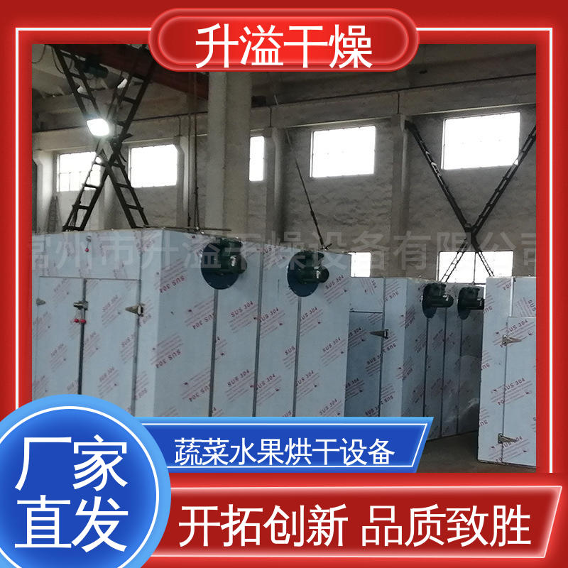 牡蛎热风循环烘箱 精心设计精致打造 生产过程简化 升溢干燥设备