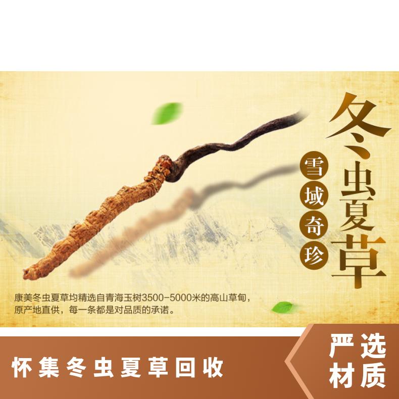 怀集冬虫夏草回收商家 回收冬虫夏草礼盒装 散装虫草回收