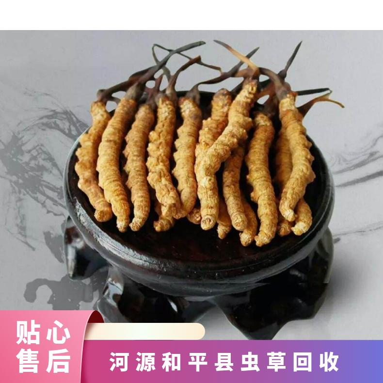 河源和平县虫草回收店铺 专业上门回收冬虫夏草 茅台酒 红酒 洋酒