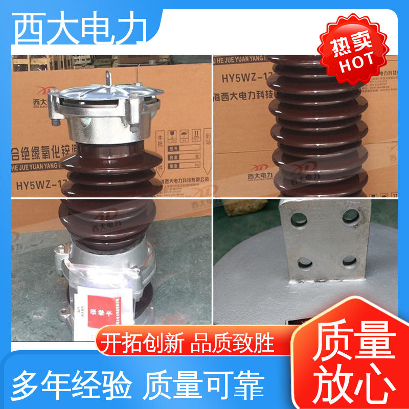 西大电力 轻巧耐用 安装灵活 35KV 陶瓷外套避雷器