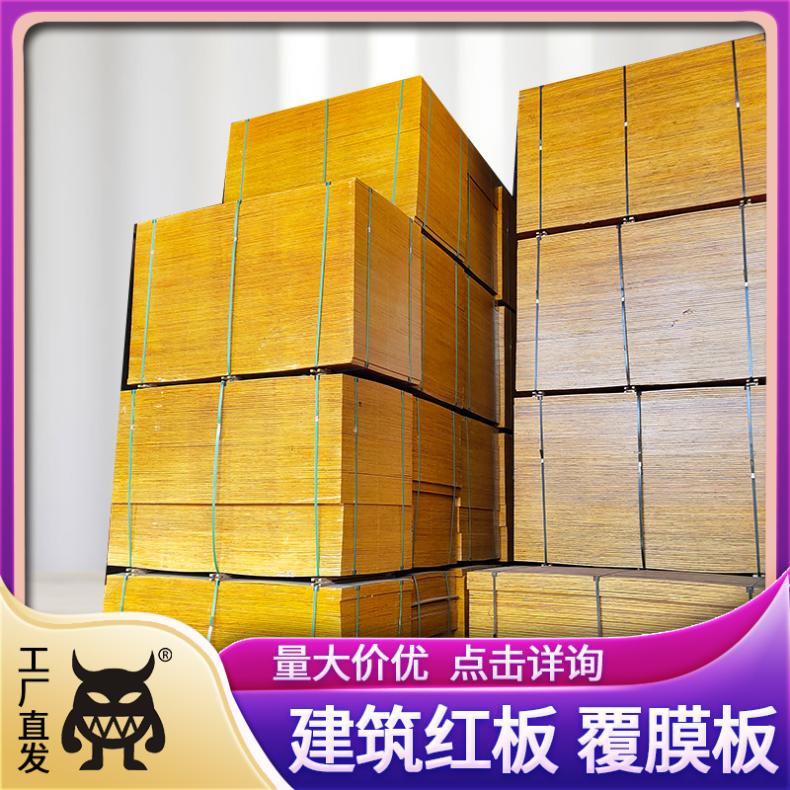 工地高层支模口料 36尺9层桉木板 厂家怪兽木业
