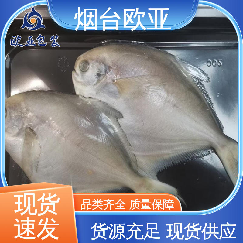 交货快捷 良好工艺 烤肉托盒 自主研发 欧亚包装
