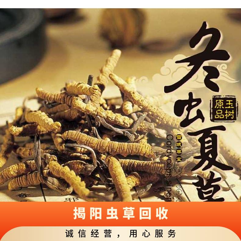 虫草回收商行 长期上门收购礼盒装 散装冬虫夏草茅台洋酒