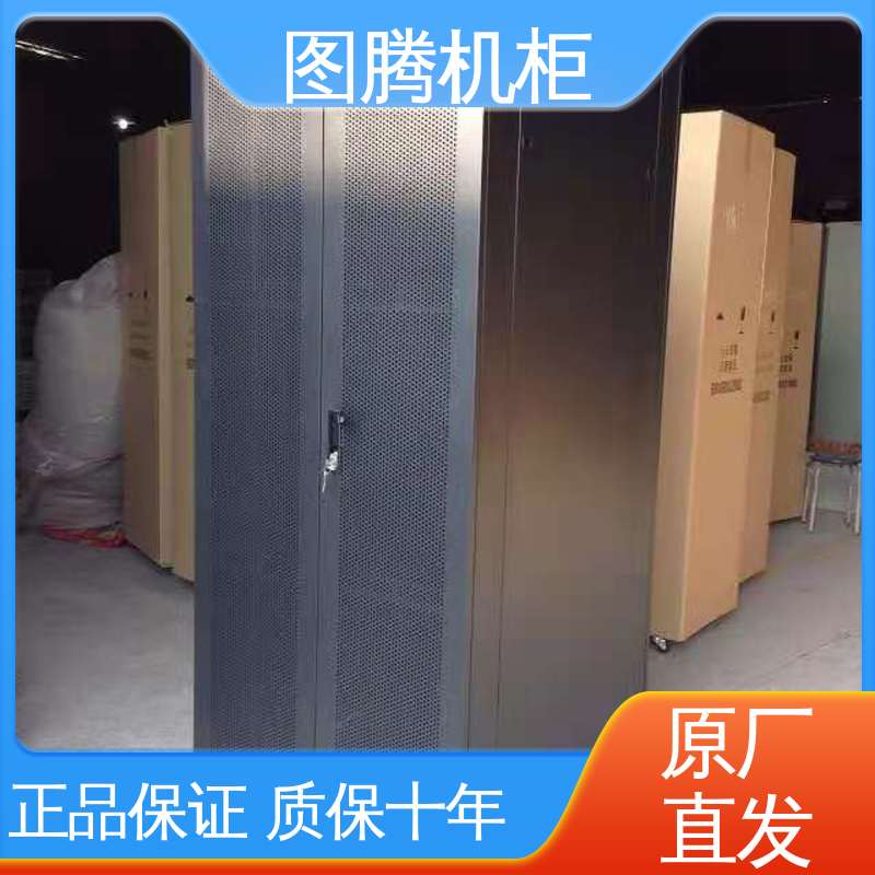 机房设备 服务器机柜 G38042 静电喷涂 图腾TOTEN