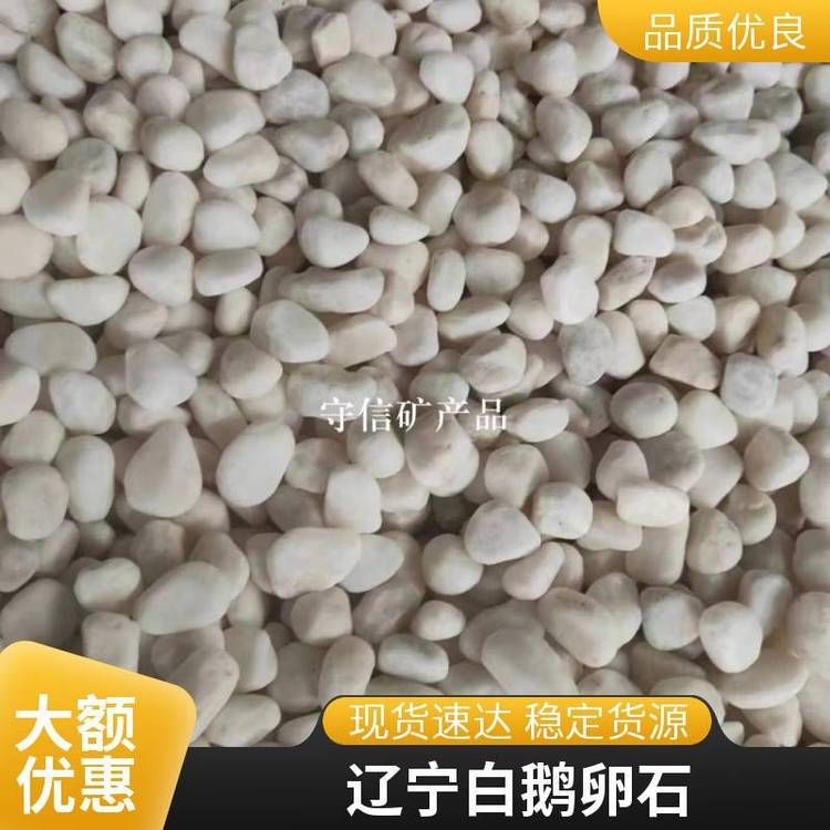 守信矿产 园艺花卉水族用白色小石子 别墅园林铺路白鹅卵石