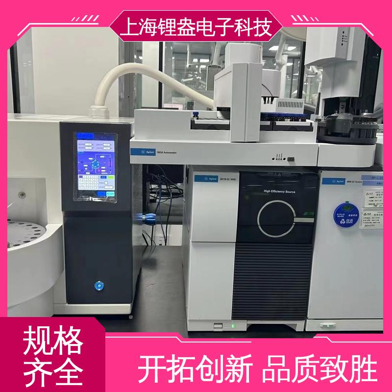 锂盎电子 提供上门安装培训 厂家供应 全自动热解析仪
