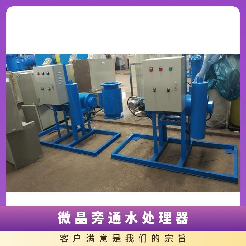 微晶旁通水处理仪 物化旁流水处理器技术参数 碳钢 LJ-II-10F 励进