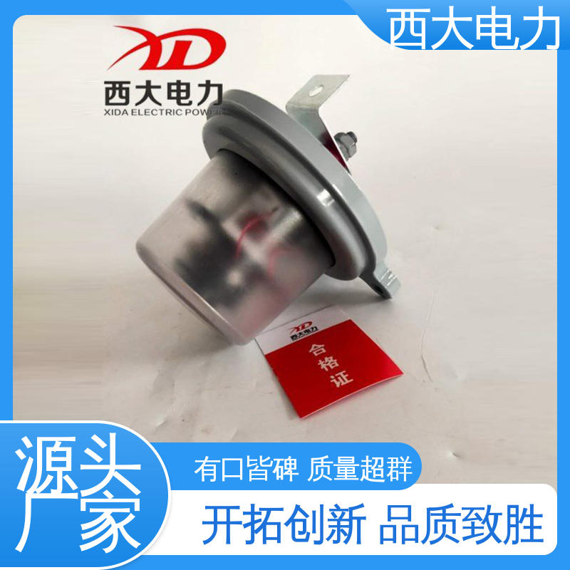 避雷器动作计数仪 体积小 重量轻 JCQ-3型 西大电力