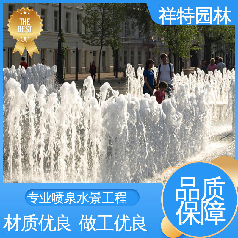 七彩灯光排列 呐喊喷泉 经久耐用 远程指导 祥特园林
