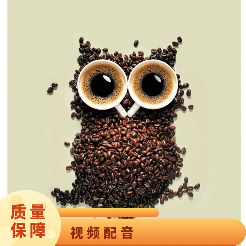 短视频拍摄 后期剪辑创意广告 专业团队制作服务找朝闻通投放