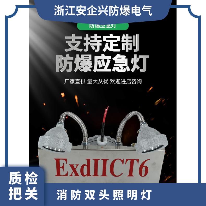 安全通道灯双头应急照明灯2*3W可H 防爆 应急灯LED
