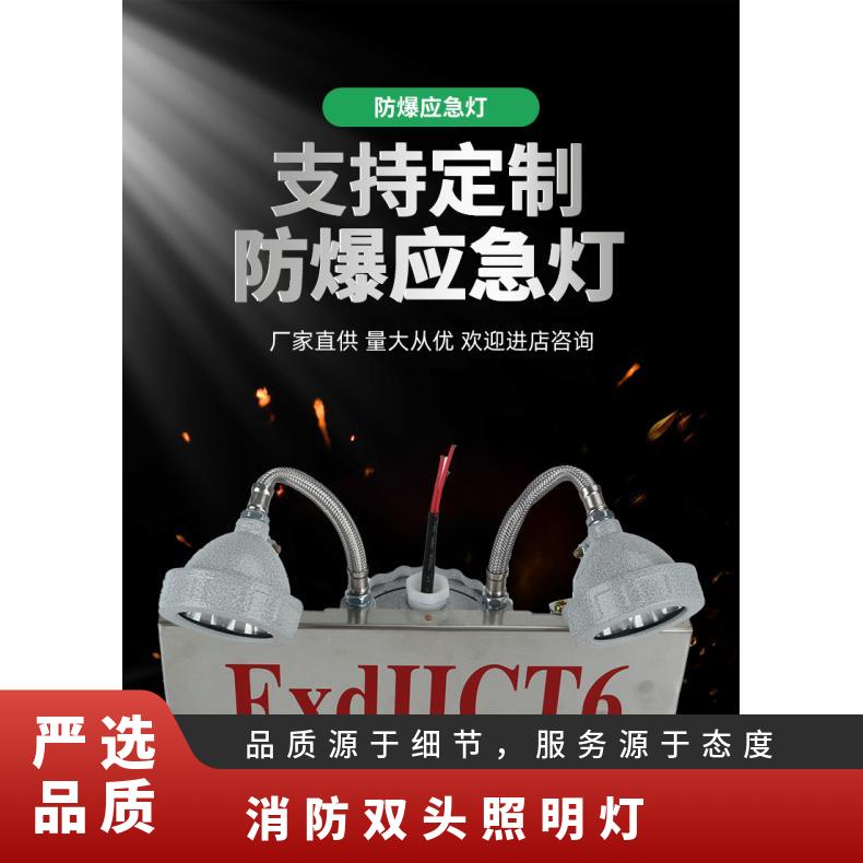 质量管理体系IS09001 不锈钢 双头疏散指示灯具防爆应急灯