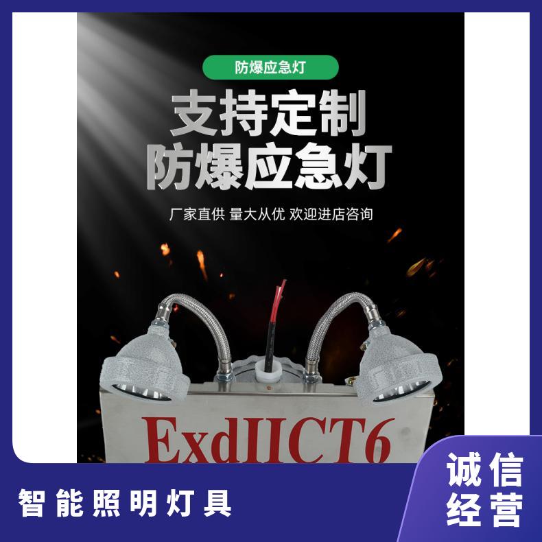 型号ZG-BLJC-1LROEII1W-143 不锈钢疏散指示应急照明灯BAJ