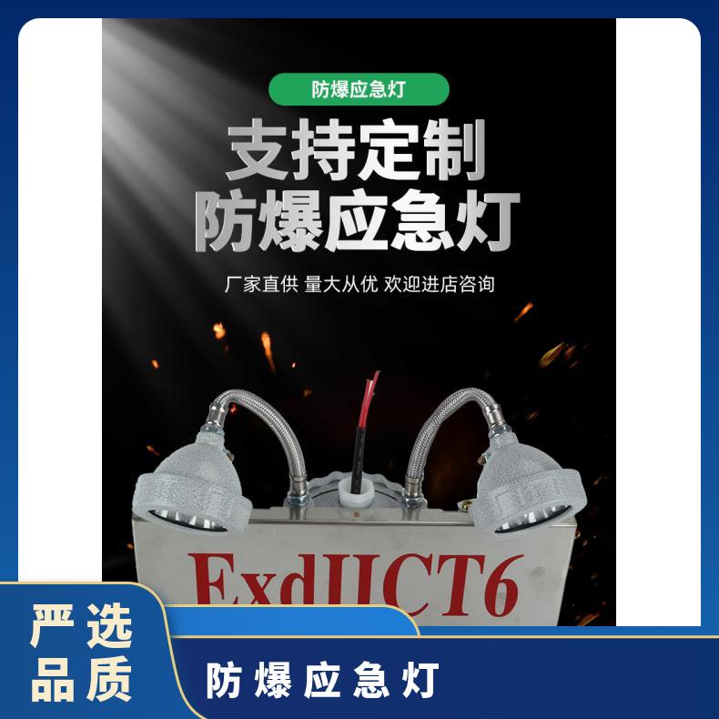 应急时间90min 钢化玻璃 防爆双头应急灯304不锈钢材质180分钟