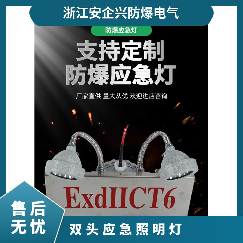 医药化工等场所用防爆安全出口双头应急照明灯