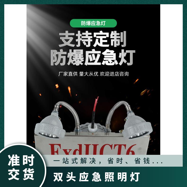 医药化工等场所用防爆安全出口双头应急照明灯2*3W