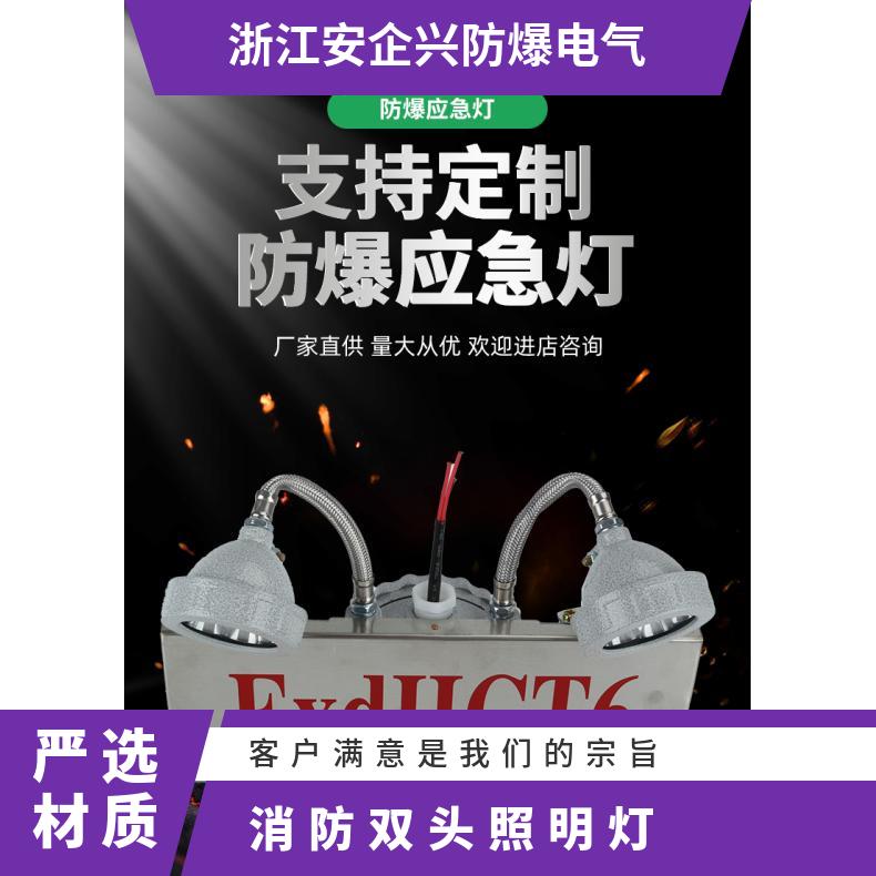 应急灯LED 防爆 疏散消防灯楼道灯双头应急BAJ2*3W