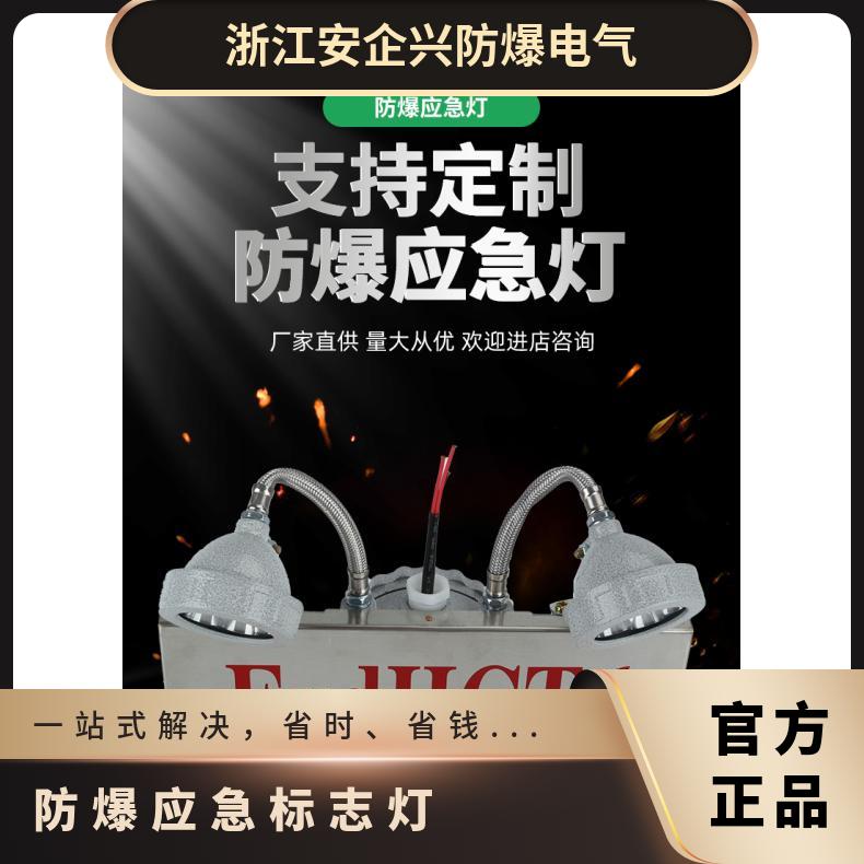 安全出口防爆应急照明灯2*3W不锈钢材质 酒店,宾馆超市商场 蚀刻