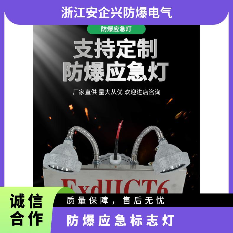 不锈钢壁挂安全出口 防爆应急照明灯2*3W材质IIB