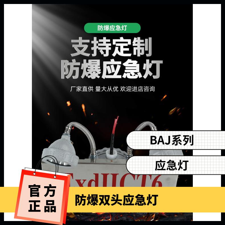 医药化工等场所用防爆安全出口双头应急照明灯BAJ型号