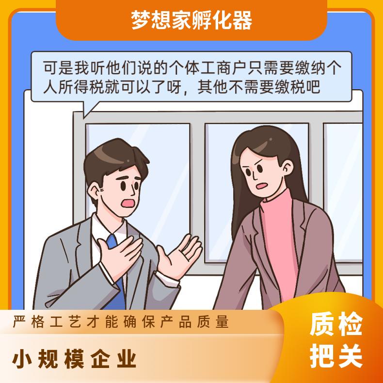 广州代理记账 一般纳税人小规模税务处理找梦想家孵化器