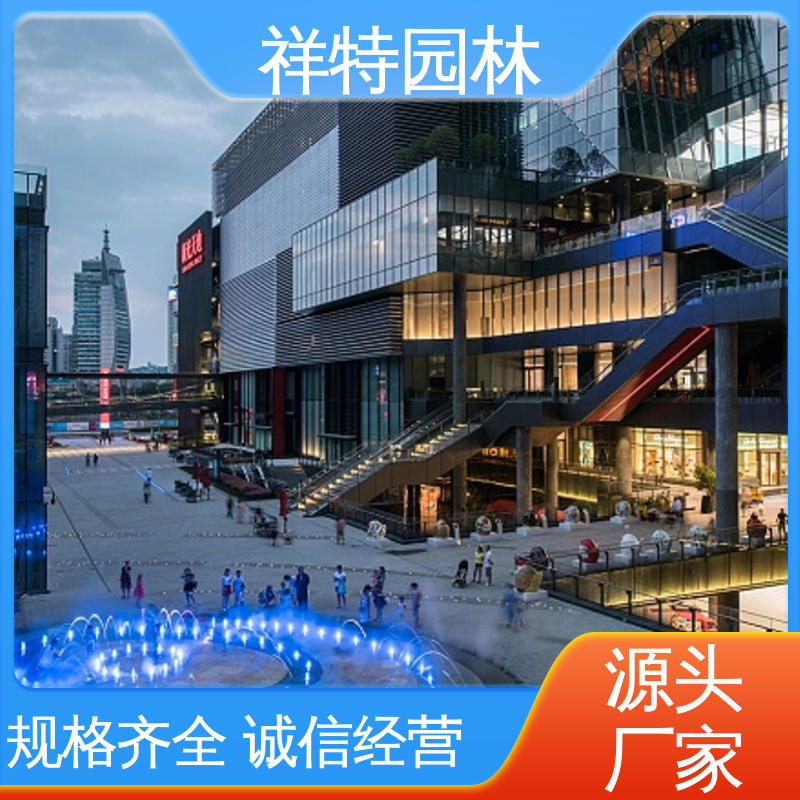公园水景设备 多年经验 商业街音乐喷泉 可调万向直射 祥特