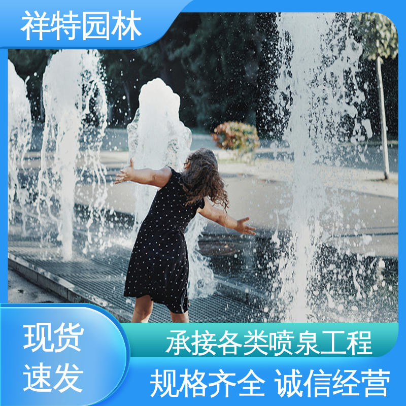 祥特园林 远程指导 大型广场水幕景观 小型音乐喷泉公司 经久耐用