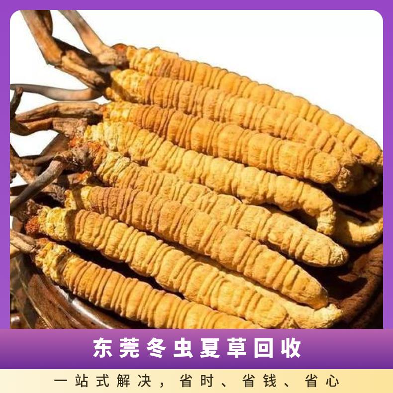 东莞冬虫夏草回收 散装虫草 礼盒装冬虫夏草上门回收价目表