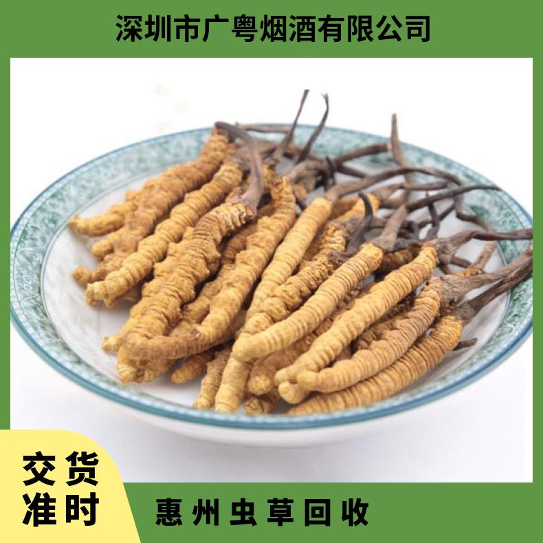 惠州虫草回收商行 长期上门回收散装 礼盒装虫草 燕窝 鱼胶 海参