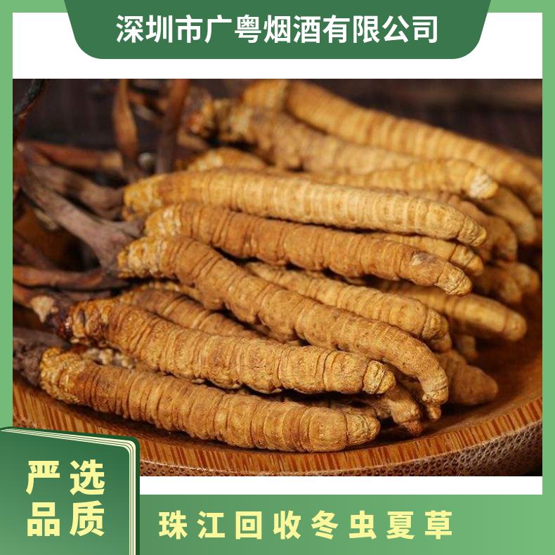 珠江回收冬虫夏草 虫草茅台洋酒红酒燕窝海参鱼胶
