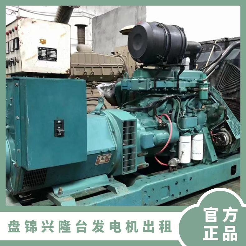 盘 锦兴隆台柴油发电机出租 发电机设备维修 体积小 适用范围光规格多
