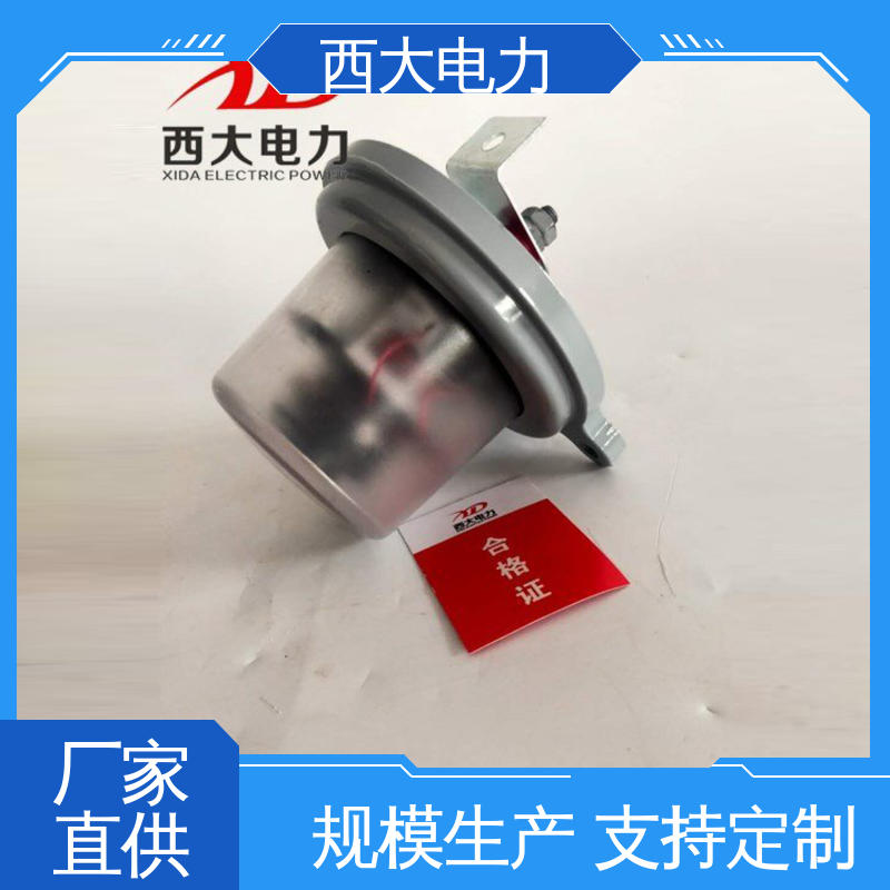 西大电力 避雷器在线监测器 JS-8 轻巧耐用 安装灵活