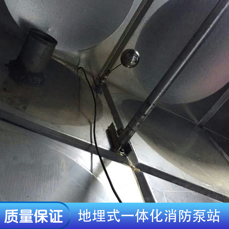 厂家供应 钢结构设计 地埋箱泵一体化泵站 金泽供水