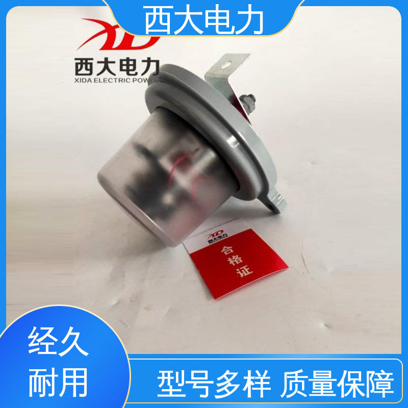 避雷器动作计数仪 体积小 重量轻 JS-8 西大电力