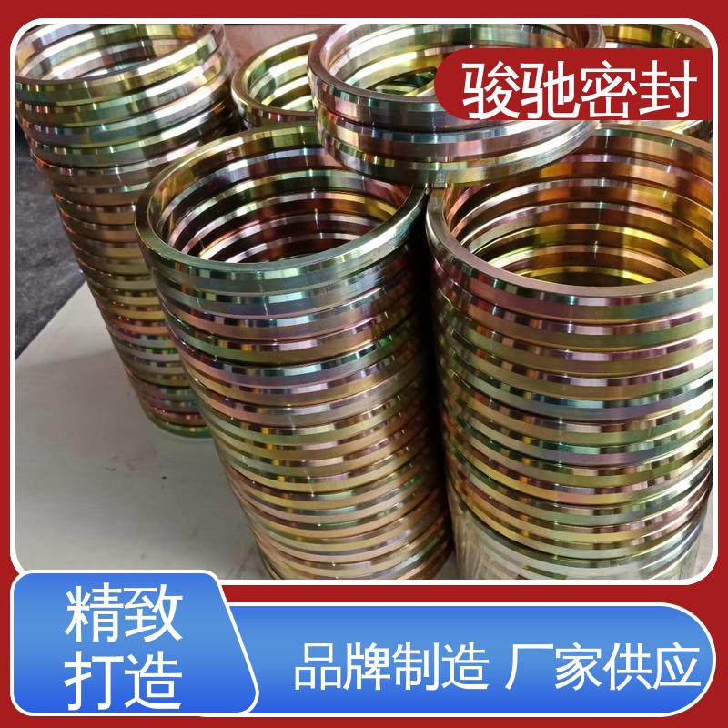 椭圆八角垫 定制加工 垫片系列 发电行业专用 骏驰密封