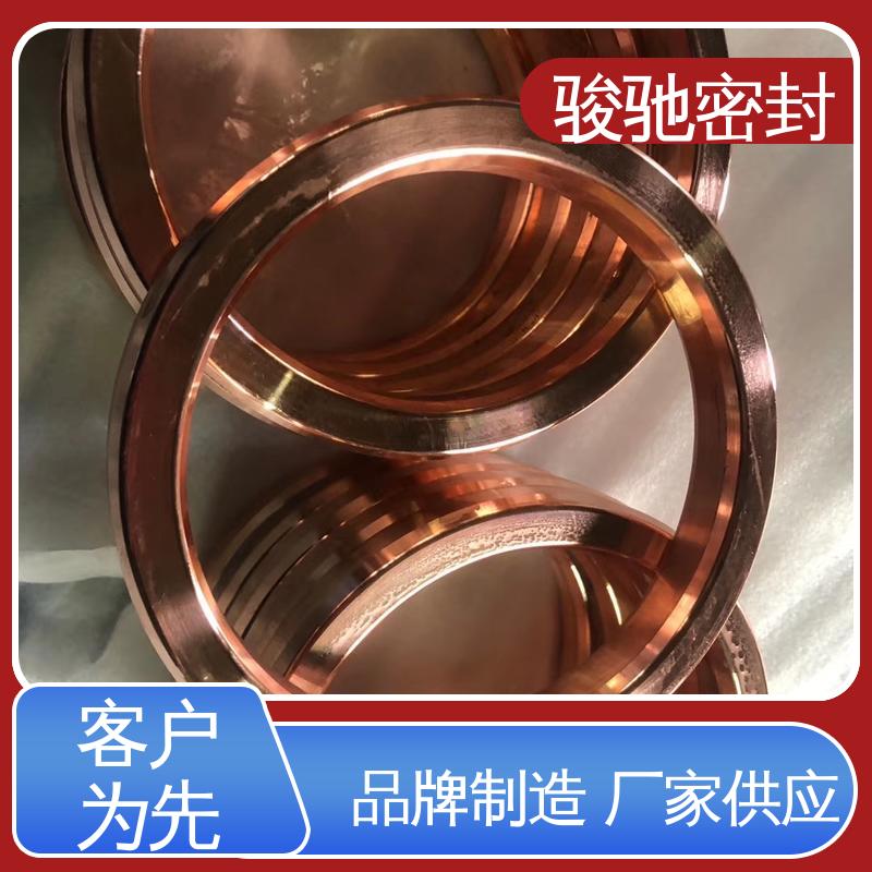 厂家供应 环形八角垫 化工管道用 高压不变形 骏驰密封