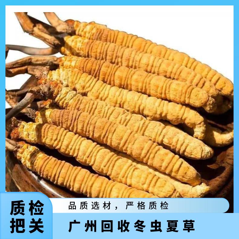 回收冬虫夏草 棕黄色 现钞 长期 炖肉 克 防蛀 散装礼盒装 冷藏