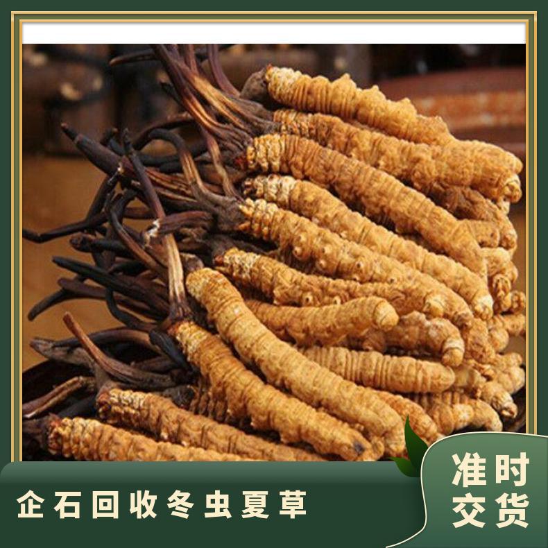 企石回收冬虫夏草诚信店铺 高价上门收购茅台酒洋酒红酒燕窝