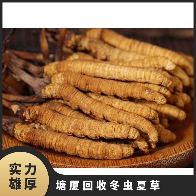 塘厦回收冬虫夏草诚信商行 常年收购虫草燕窝鱼胶茅台酒洋酒红酒