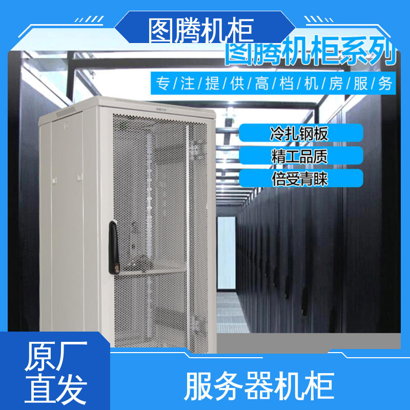 图腾TOTEN G38842 机房设备 服务器机柜 弱电系统