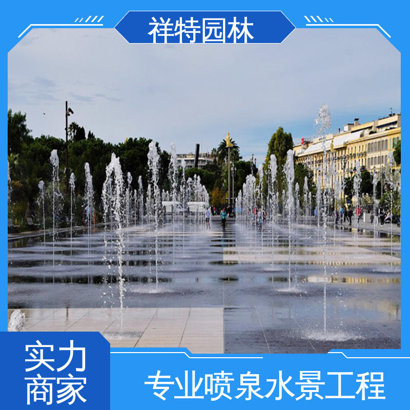 祥特园林 七彩灯光排列 经久耐用 球形喷嘴 景区音乐喷泉水秀